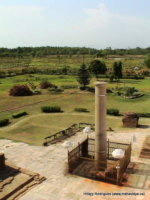 Asoka Pillar
